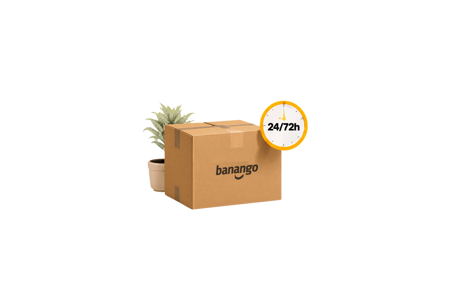 Caja de Banango Shop