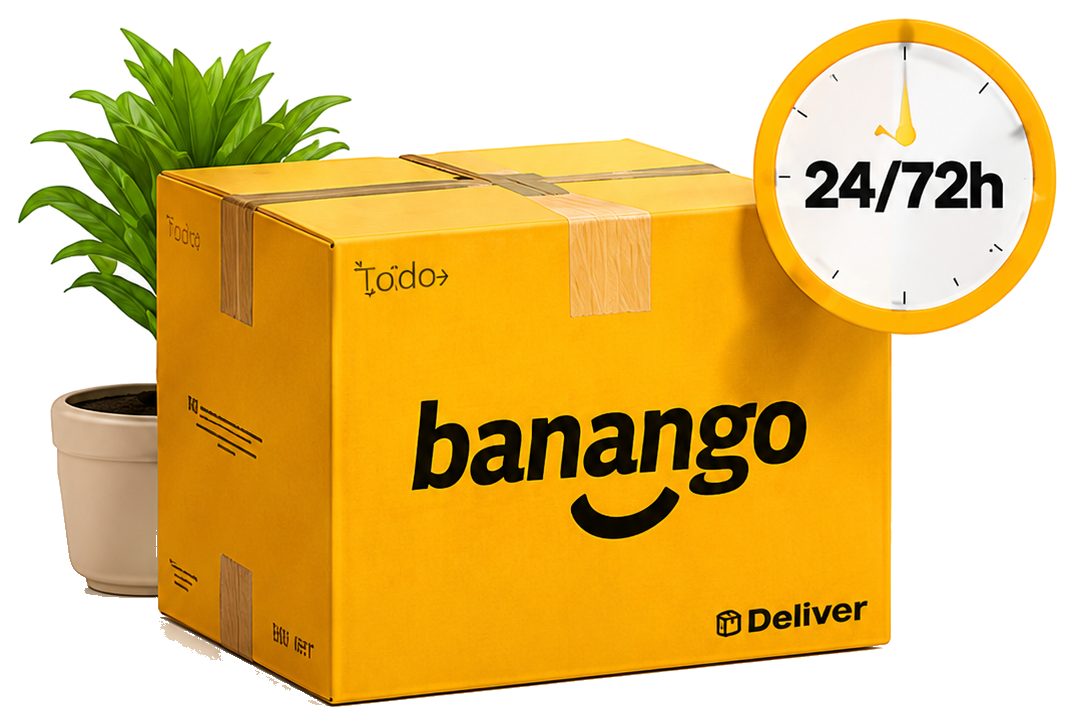 Caja Banango Shop con entrega en 24/72 horas